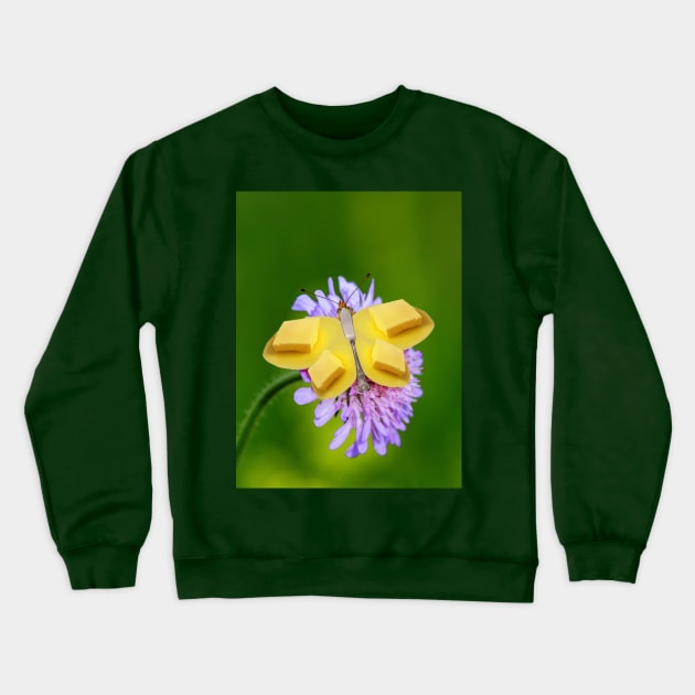 Butter Butterfly Crewneck Sweatshirt by Art-by-Sanna